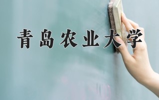 2024青岛农业大学录取分数线：浙江最低487分