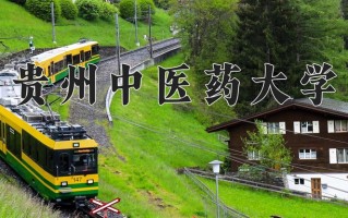 贵州中医药大学最厉害的专业-2024贵州中医药大学最好专业