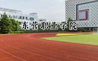 东营职业学院2024在内蒙古录取分数线是多少？最低223分/最高347分