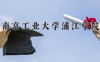 2024南京工业大学浦江学院录取分数线，重庆录取最低分451