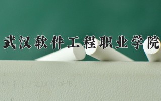2024武汉软件工程职业学院录取分数线：浙江最低466分