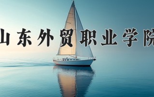 2024山东外贸职业学院录取分数线：浙江最低409分