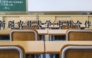 2024年新疆农业大学(中外合作)录取分数线，新疆最低310分