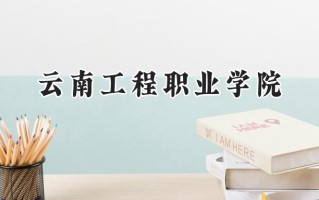 云南工程职业学院2024在山东录取分数线是多少？最低268分/最高310分
