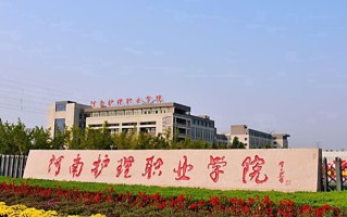2024年河南护理职业学院录取分数线，河北最低398分