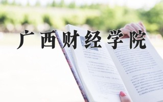 2024广西财经学院录取分数线，重庆录取最低分486