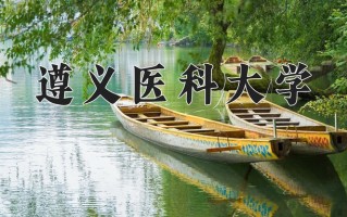 2024年遵义医科大学录取分数线，青海最低403分