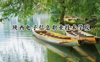 陕西电子信息职业技术学院2024在青海录取分数线是多少？最低256分/最高294分