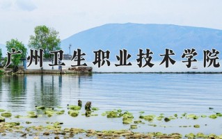 2024年广州卫生职业技术学院录取分数线，宁夏最低313分