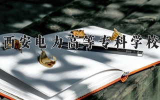2024年西安电力高等专科学校录取分数线，内蒙古最低355分