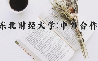 2024年东北财经大学(中外合作)录取分数线，内蒙古最低507分