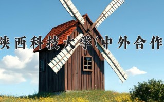 2024年陕西科技大学(中外合作)录取分数线，内蒙古最低484分