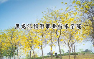 2024黑龙江旅游职业技术学院录取分数线：宁夏最低275分