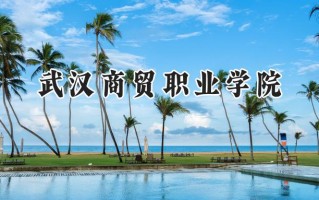 武汉商贸职业学院2024在浙江录取分数线是多少？最低394分/最高455分