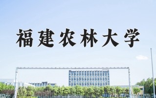 2024年福建农林大学录取分数线，新疆最低390分