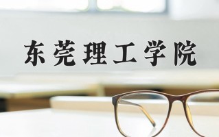2024东莞理工学院录取分数线，重庆录取最低分510