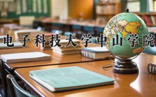 2024电子科技大学中山学院录取分数线：浙江最低473分