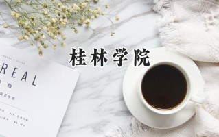 桂林学院2024在内蒙古录取分数线是多少？最低363分/最高393分