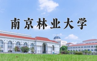 木材科学与工程专业学费多少？附江苏2024年招收的大学