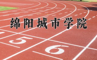 2024年绵阳城市学院录取分数线，青海最低337分