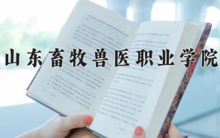 云南255分能上什么大学？附2025年可以报考的大学名单