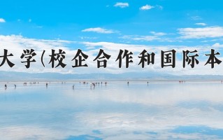 2024年内蒙古民族大学(校企合作和国际本科互认课程)录取分数线，内蒙古最低391分