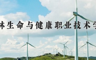 2024年桂林生命与健康职业技术学院录取分数线，宁夏最低262分