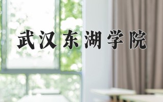 2024武汉东湖学院录取分数线：浙江最低405分