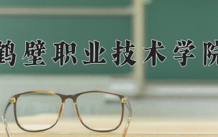 2024年鹤壁职业技术学院录取分数线，宁夏最低344分