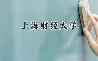 上海财经大学2024在山东录取分数线是多少？最低621分/最高651分