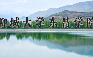宁夏417分能上什么大学？附2025年可以报考的大学名单