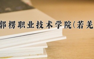 2024年巴音郭楞职业技术学院(若羌校区)录取分数线，新疆最低211分