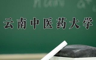 云南中医药大学学费多少钱一年：4000-5000元/年（2025填报参考）