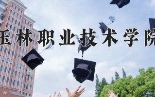 玉林职业技术学院学费多少钱一年：6500-7300元/年（2025填报参考）