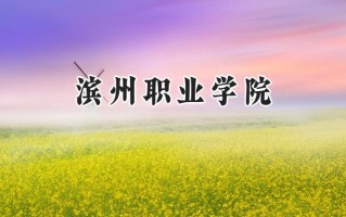 滨州职业学院2024在山东录取分数线是多少？最低279分/最高478分