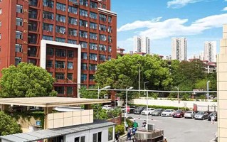 2024年武汉民政职业学院录取分数线，新疆最低245分