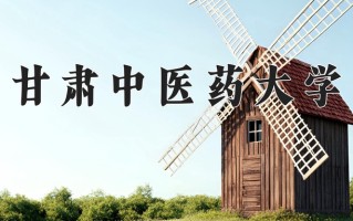 2024年甘肃中医药大学录取分数线，内蒙古最低409分