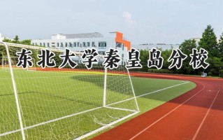 2024东北大学秦皇岛分校录取分数线：河南最低584分