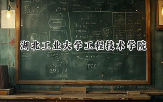 2024湖北工业大学工程技术学院录取分数线：河南最低448分