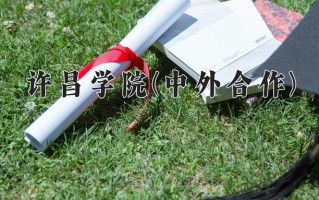 许昌学院(中外合作)学费多少钱一年：13000-16000元/年（2025填报参考）