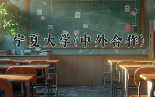 2024年宁夏大学(中外合作)录取分数线，宁夏最低432分