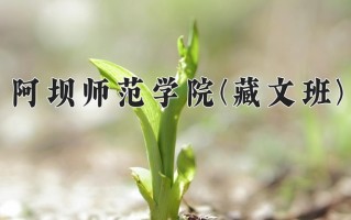 2024年阿坝师范学院(藏文班)录取分数线，青海最低434分
