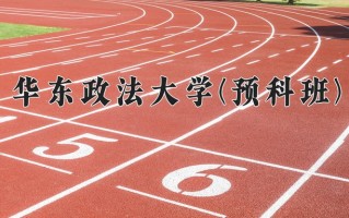 2024华东政法大学(预科班)录取分数线，重庆录取最低分578