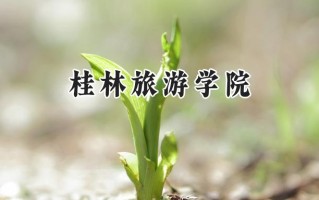 2024桂林旅游学院录取分数线：陕西最低376分