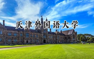 2024天津外国语大学录取分数线：河南最低530分