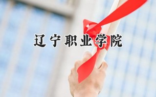 辽宁职业学院2024在内蒙古录取分数线是多少？最低239分/最高315分