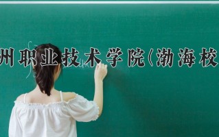 沧州职业技术学院(渤海校区)学费多少钱一年：3500-5000元/年（2025填报参考）