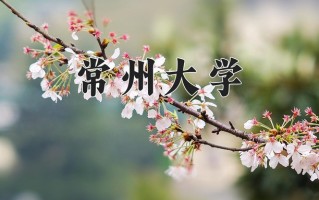 油气储运工程专业学费多少？附江苏2024年招收的大学