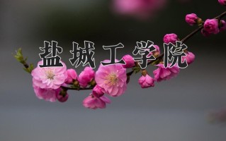 2024盐城工学院录取分数线：浙江最低507分