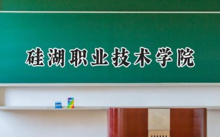 2024硅湖职业技术学院录取分数线：江苏最低230分